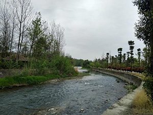 成都市溫江區(qū)萬春鎮(zhèn)江安河防洪治理工程（第二次）項(xiàng)目